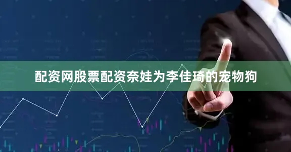 配资网股票配资奈娃为李佳琦的宠物狗